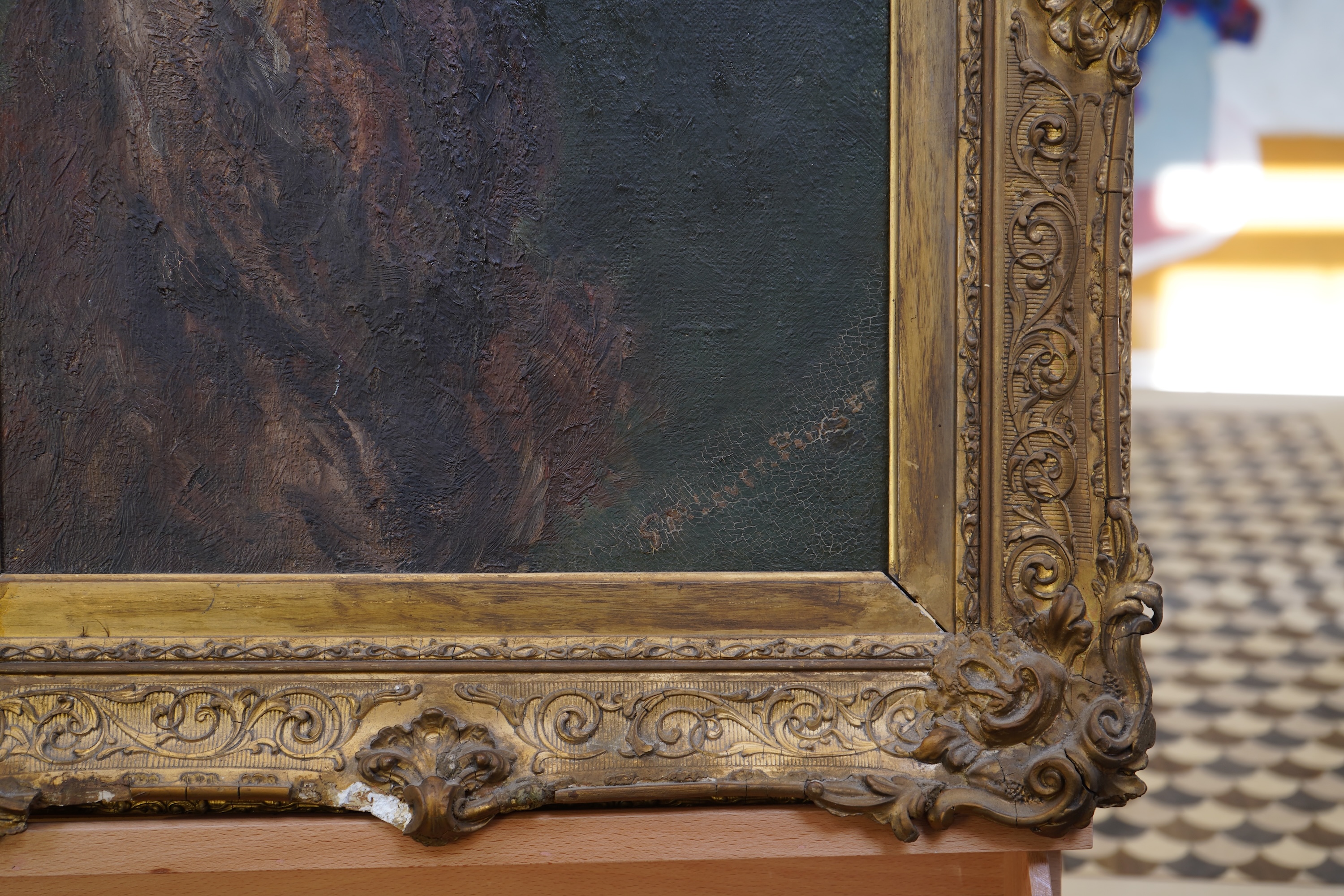 English School, (early 20th century), A portrait of an Irish Water Spaniel